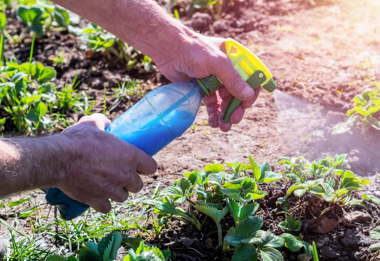 Our Impact on the Ground